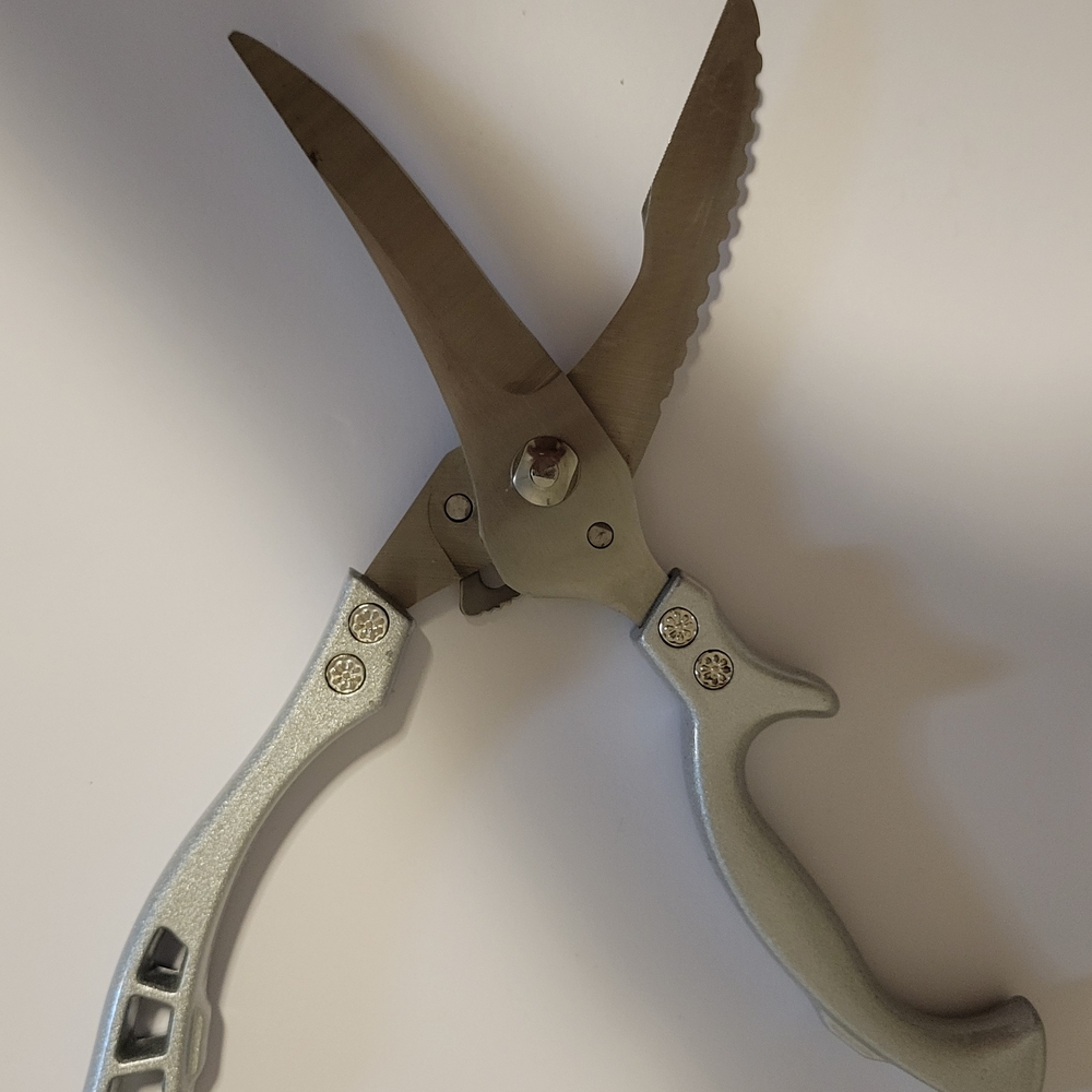 Scissors - Picture 6 of 9